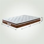 N11-Grand Palais-Brown-Lifestyle