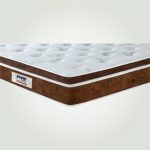 N11-Grand Palais-Brown-Lifestyle