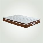 N11-Grand Palais-Brown-Lifestyle