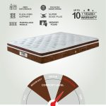 N11-Grand Palais-Brown-Lifestyle
