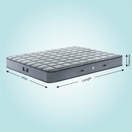 N6-Spine Guard-img1