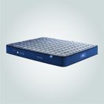 N8-Zenimo Normal-lifestyle