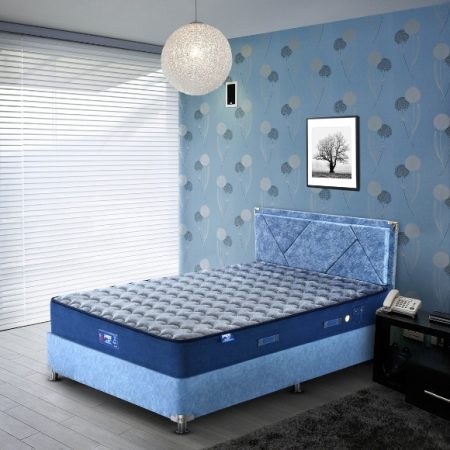 N8-Zenimo Normal-lifestyle