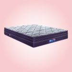 N4-Sanibel Plush Memory Foam Euro Top-purple-Lifestyle